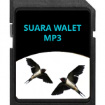 FORMAT SUARA WALET MP3